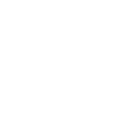 .skis